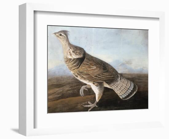 Ruffed Goose, C.1812-John James Audubon-Framed Giclee Print