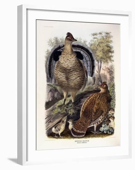 Ruffed Grouse, 1865-Daniel Girard Elliot-Framed Giclee Print