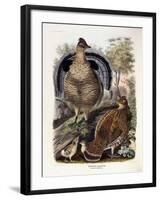 Ruffed Grouse, 1865-Daniel Girard Elliot-Framed Giclee Print