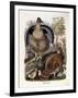 Ruffed Grouse, 1865-Daniel Girard Elliot-Framed Giclee Print