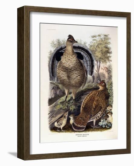 Ruffed Grouse, 1865-Daniel Girard Elliot-Framed Giclee Print