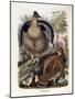 Ruffed Grouse, 1865-Daniel Girard Elliot-Mounted Giclee Print