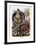 Ruffed Grouse, 1865-Daniel Girard Elliot-Framed Giclee Print