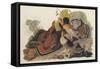 Ruffed Grouse-John James Audubon-Framed Stretched Canvas