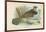 Ruffed Grouse-English School-Framed Giclee Print