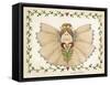 Ruffled Angel-Debbie McMaster-Framed Stretched Canvas