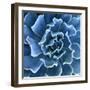 Ruffled Edges-Jan Bell-Framed Photographic Print