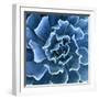 Ruffled Edges-Jan Bell-Framed Photographic Print