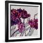 Ruffled Tulips-Shirley Novak-Framed Art Print