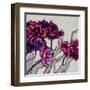 Ruffled Tulips-Shirley Novak-Framed Art Print