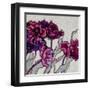 Ruffled Tulips-Shirley Novak-Framed Art Print