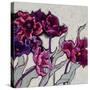Ruffled Tulips-Shirley Novak-Stretched Canvas