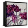 Ruffled Tulips-Shirley Novak-Framed Stretched Canvas