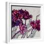 Ruffled Tulips-Shirley Novak-Framed Art Print