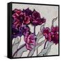 Ruffled Tulips-Shirley Novak-Framed Stretched Canvas