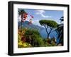 Rufolo View, Ravello, Amalfi Coast, UNESCO World Heritage Site, Campania, Italy, Europe-Charles Bowman-Framed Premium Photographic Print