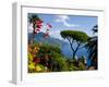 Rufolo View, Ravello, Amalfi Coast, UNESCO World Heritage Site, Campania, Italy, Europe-Charles Bowman-Framed Premium Photographic Print