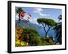 Rufolo View, Ravello, Amalfi Coast, UNESCO World Heritage Site, Campania, Italy, Europe-Charles Bowman-Framed Photographic Print