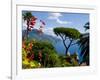 Rufolo View, Ravello, Amalfi Coast, UNESCO World Heritage Site, Campania, Italy, Europe-Charles Bowman-Framed Photographic Print