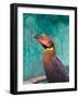 Rufous Hornbil Bird, Philippines-Keren Su-Framed Photographic Print