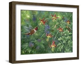 Rufous Hummingbird-Jeff Tift-Framed Giclee Print