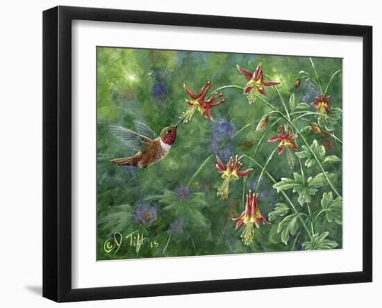 Rufous Hummingbird-Jeff Tift-Framed Giclee Print