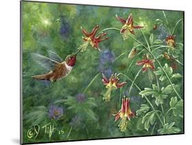 Rufous Hummingbird-Jeff Tift-Mounted Giclee Print