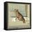 Rufus the Cat Out in the Cold and Rain-Cecil Aldin-Framed Stretched Canvas