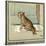 Rufus the Cat Out in the Cold and Rain-Cecil Aldin-Stretched Canvas