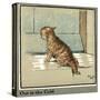 Rufus the Cat Out in the Cold and Rain-Cecil Aldin-Stretched Canvas