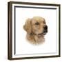 Rufus-Aron Gadd-Framed Giclee Print