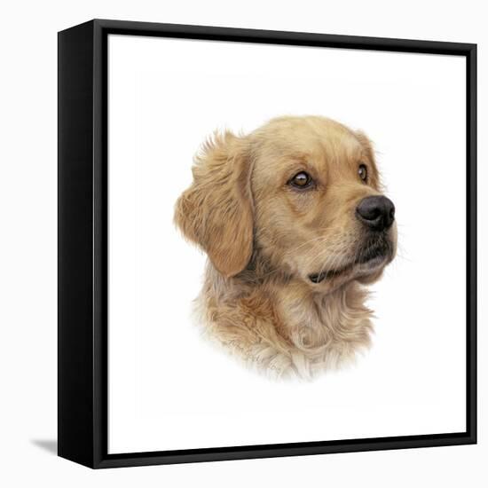 Rufus-Aron Gadd-Framed Stretched Canvas