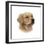 Rufus-Aron Gadd-Framed Giclee Print