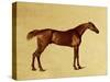 Rufus-George Stubbs-Stretched Canvas