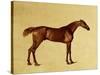 Rufus-George Stubbs-Stretched Canvas