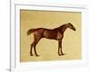 Rufus-George Stubbs-Framed Giclee Print