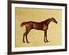 Rufus-George Stubbs-Framed Giclee Print