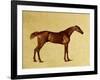 Rufus-George Stubbs-Framed Giclee Print