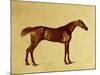 Rufus-George Stubbs-Mounted Giclee Print