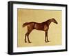 Rufus-George Stubbs-Framed Giclee Print