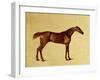 Rufus-George Stubbs-Framed Giclee Print