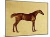 Rufus-George Stubbs-Mounted Giclee Print
