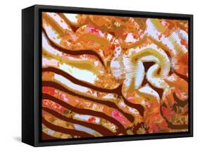 Rug-carpet XLIX-Fernando Palma-Framed Stretched Canvas