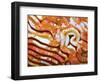 Rug-carpet XLIX-Fernando Palma-Framed Giclee Print