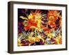 Rug-carpet XLVIII-Fernando Palma-Framed Giclee Print