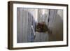 Rug making is a typical women job.-Michele Molinari-Framed Photographic Print