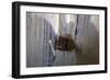 Rug making is a typical women job.-Michele Molinari-Framed Photographic Print