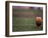 Rugby Ball on Tee, Paris, France-null-Framed Photographic Print