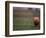 Rugby Ball on Tee, Paris, France-null-Framed Photographic Print