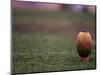 Rugby Ball on Tee, Paris, France-null-Mounted Photographic Print